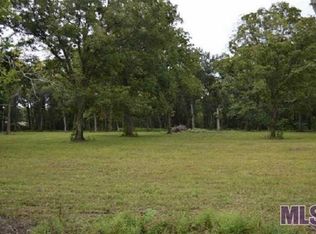 42546 Weber City Rd, Gonzales, LA 70737
