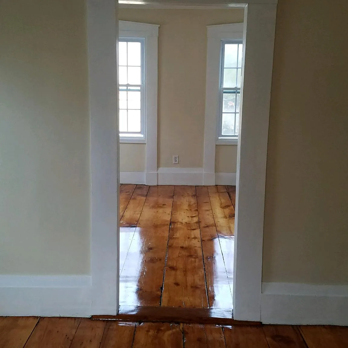 1 bed, 540 sqft, $1,795 — Photo 3