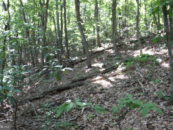 LOT 319 Ridge Run Rd, Claysburg, PA 16625