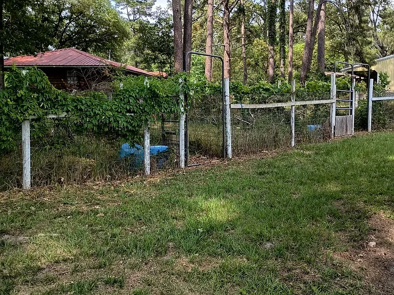 767 County Road 53 — Photo 16
