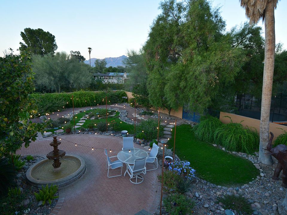 Back garden