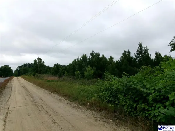 Millers Rd, Mullins, SC 29574