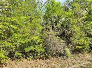 NW 74th Ct LOT 112, Chiefland, FL 32626