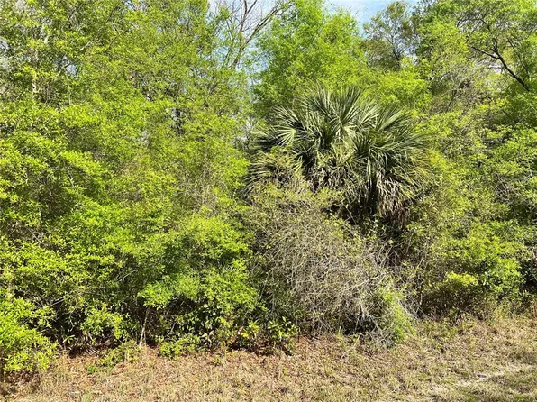 NW 74th Ct Lot 112, Chiefland, FL 32626