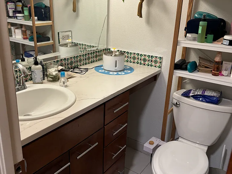 1231 N Downing St #205 — Photo 5
