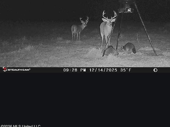 5th image of 0 Griffin Rd