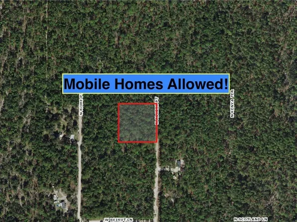6474 N Algiers Point, Dunnellon, FL 34433