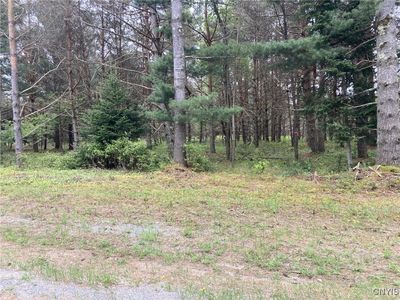 (Undisclosed Address), Forestport, NY, 13338