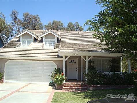 Beautiful Mature Landscaping!