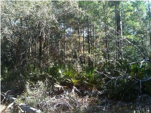 2nd image of LOT 7 Georgetown Ct