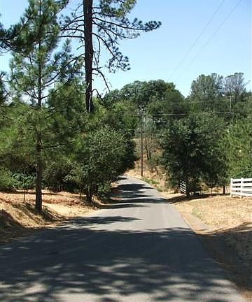 Dawn Lane
