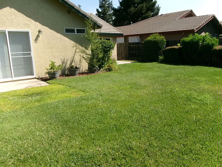 218 Idlewild Dr — Photo 16