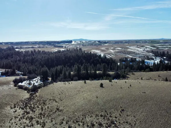 Laubner Rd, Nezperce, ID 83543