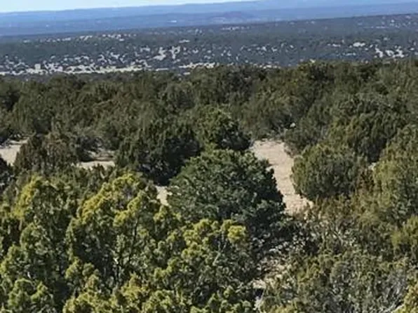 Lot 20 Idlewild Ranch #20, Concho, AZ 85924