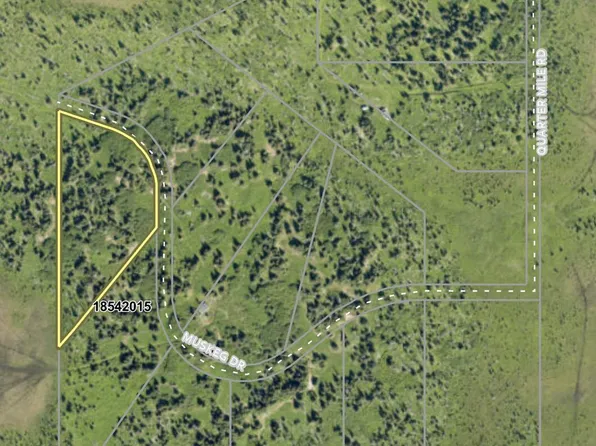 46075 Muskeg Dr, Homer, AK 99603