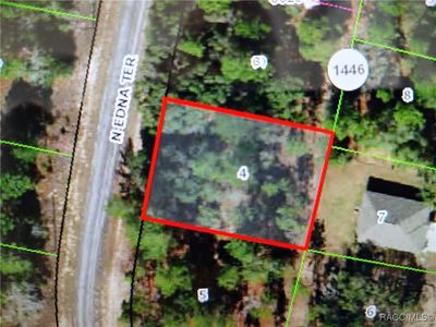 11155 N Edna Ter, Citrus Springs, FL, 34433