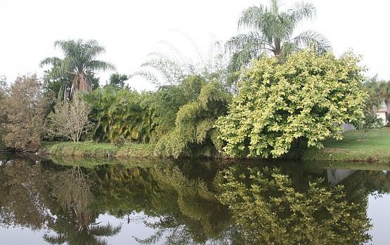 View from the golf course