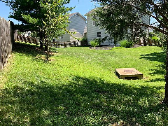 back yard