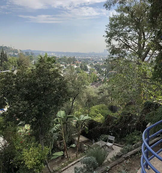 6216 Temple Hill Dr — Photo 25