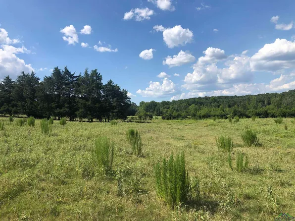 Hickey Rd, Hallsville, TX 75650