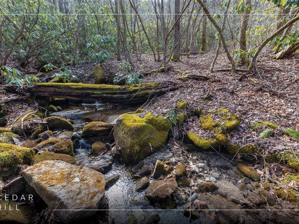 Lot 46 E Rochester Drive, Cashiers, NC 28717