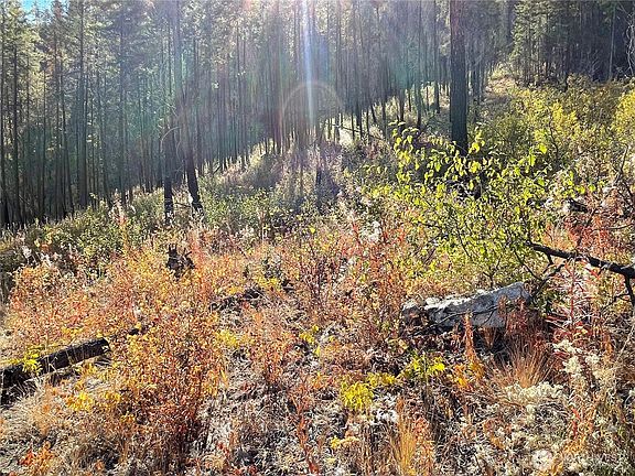 5th image of 1 C S. Lakeshore Rd.