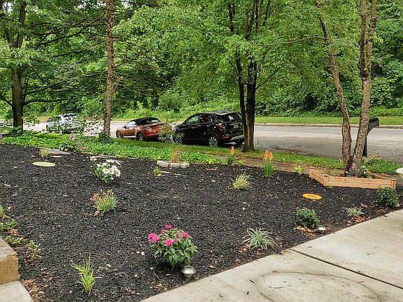 Easy care, no mow garden.