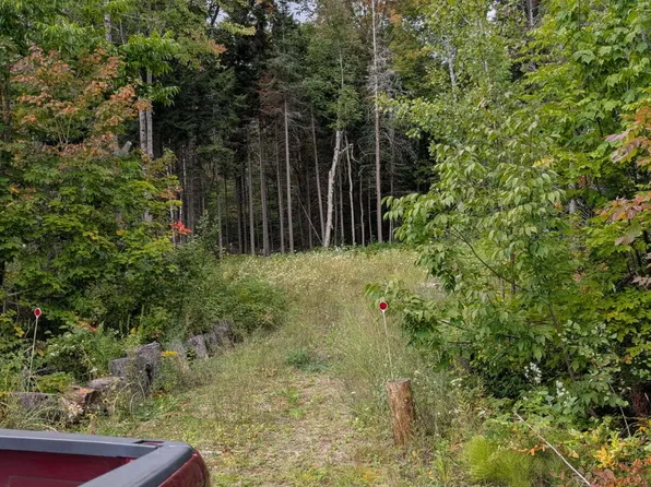 LOT 32 Garmish St, Ellenburg Depot, NY 12935