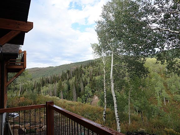 Views from the back deck