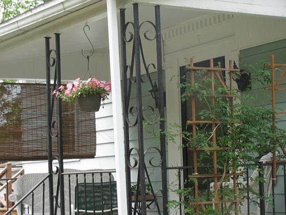Front porch trumpet vine