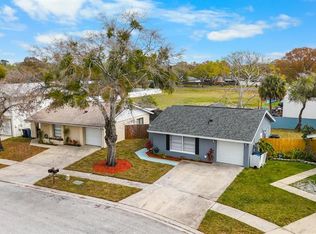 10365 Chadbourne Dr, Tampa, FL 33624
