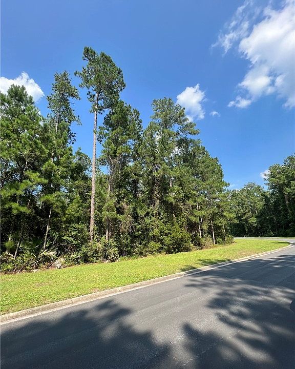 0 Secret Cv, Woodbine, GA 31569 MLS 1641140 Zillow
