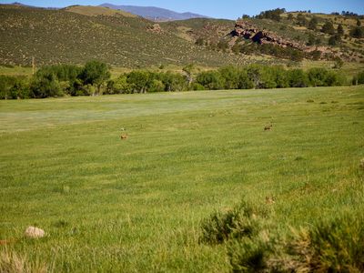 10231 Buckhorn Ridge Way, Loveland, CO, 80538