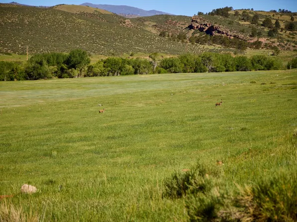 10231 Buckhorn Ridge Way, Loveland, CO 80538