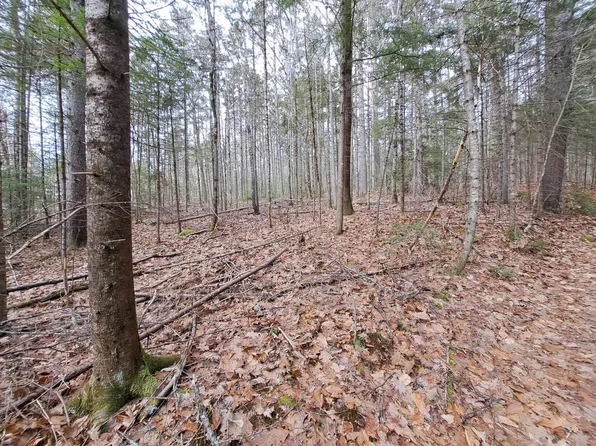 Lot 16 Judges Road, Thornton, NH 03223