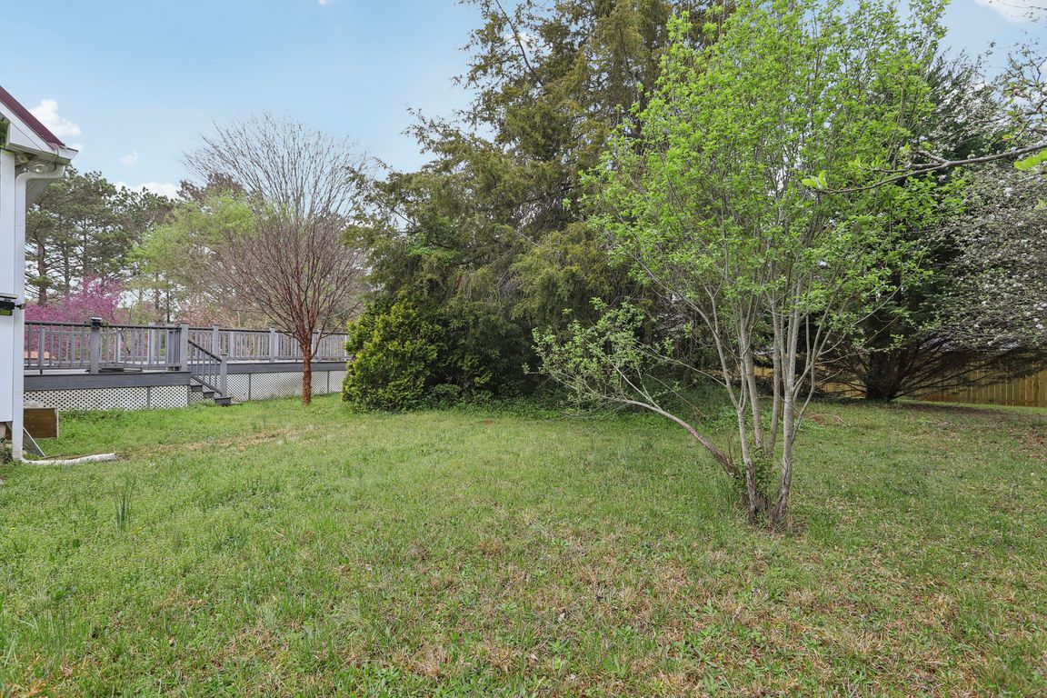 Bell Wood Rd-01042025-027.jpg