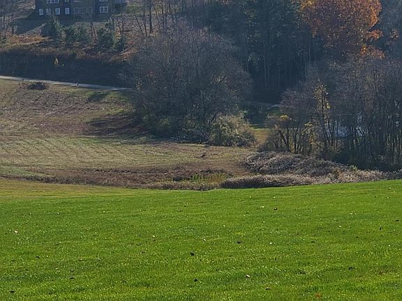 5th image of 424 Kahler Hills Dr