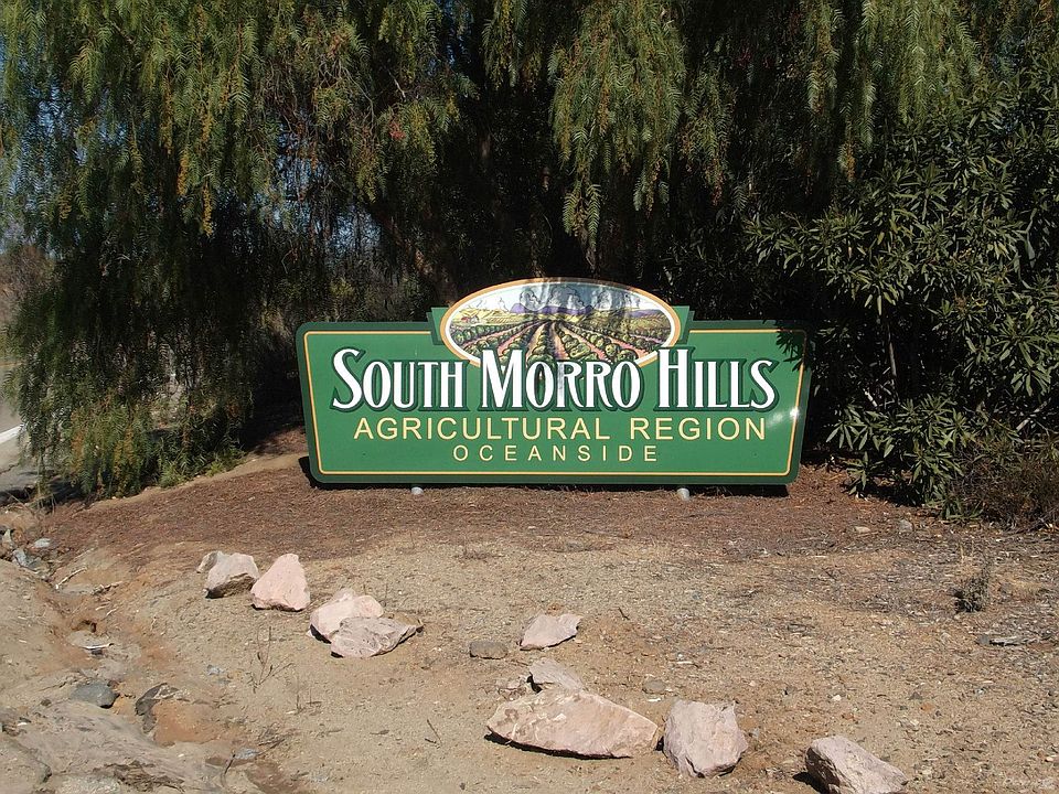 sleeping indian & stewart street 014