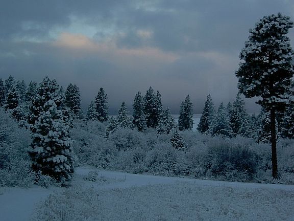 Looking At Winter from Insid