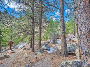 Skyline Rd, Georgetown, CO 80444