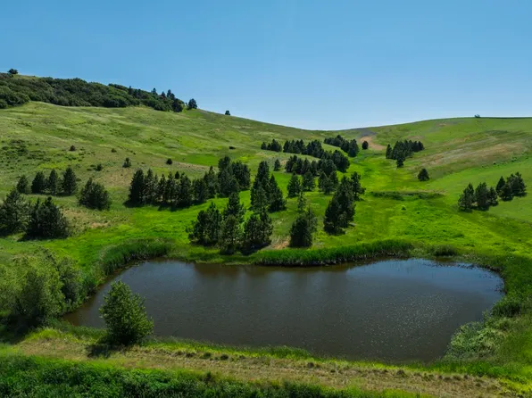 1189 Eid Rd #Parcel, Moscow, ID 83843