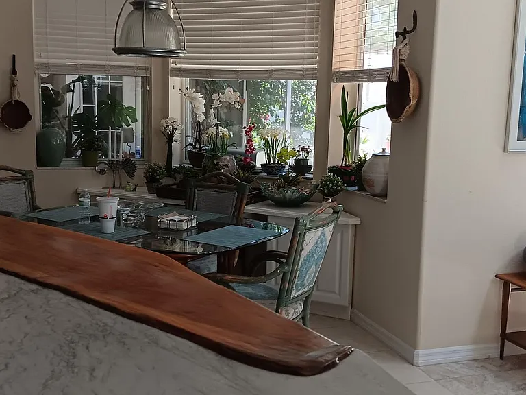 Kitchen Live Edge Wood counter