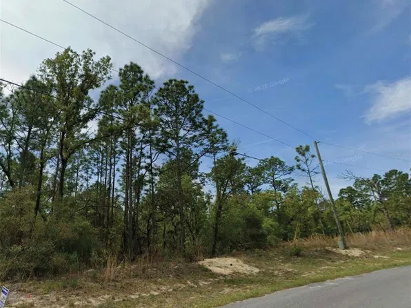 6677 N WATERMAN DRIVE LOT 02100, CITRUS SPRINGS, FL 34434