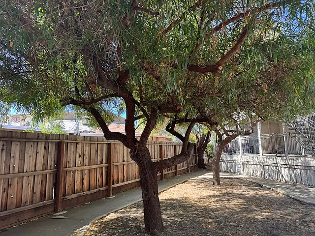 Oakwood Apartments — Photo 13