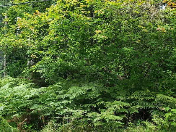 85 XX S Lake Ketchum Road, Stanwood, WA 98292