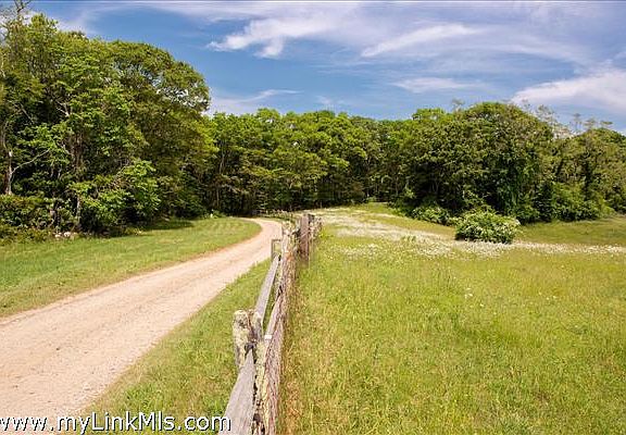 Road to Beach along daisy covered fields