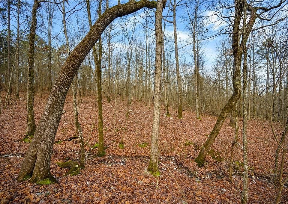 2nd image of 45 Woodland Hills