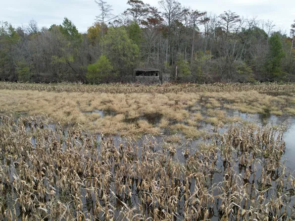 (undisclosed Address), Newport, AR 72112