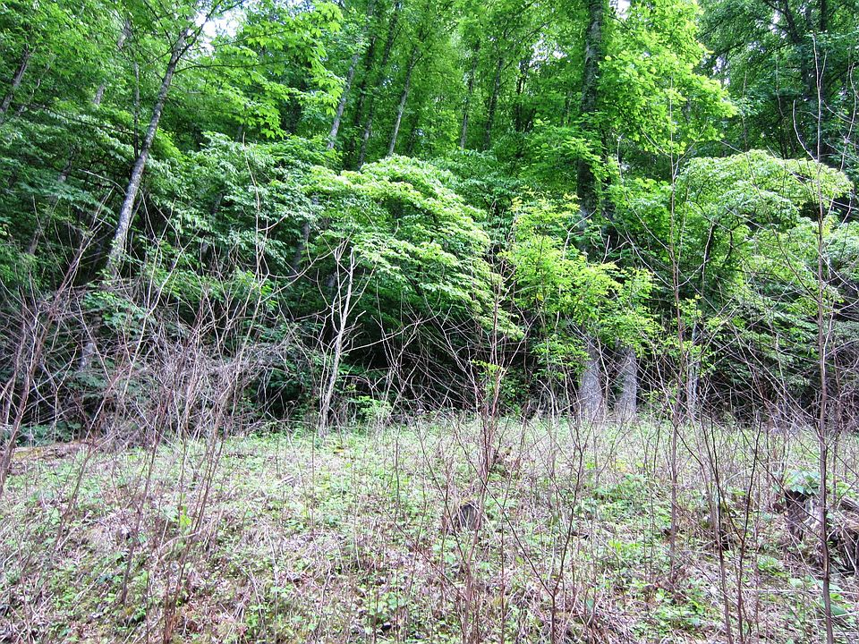 1st image of 00 Hemlock Lane