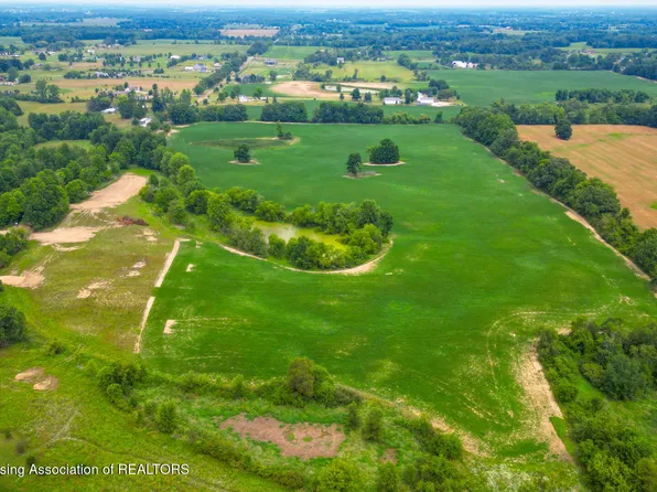 0 S Bauer Rd, Eagle, MI 48822